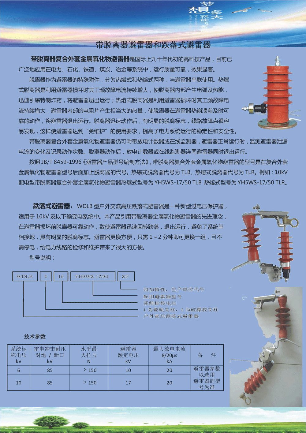 帶脫離器避雷器和跌落式避雷器01.gif